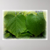 Poster twin le (Devant)