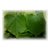 Poster twin le (Devant)