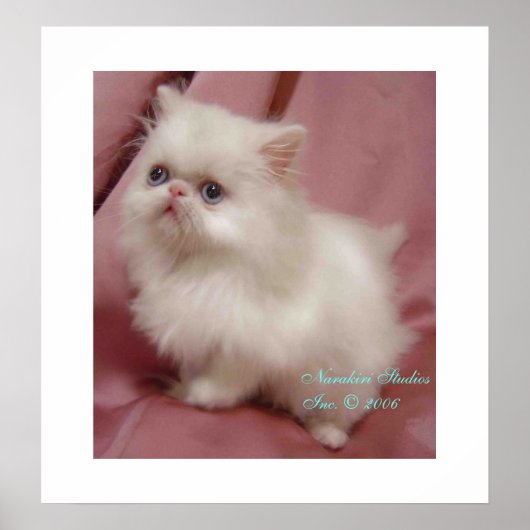 POSTER TWINKLE PETIT ÉTOILE (Devant)