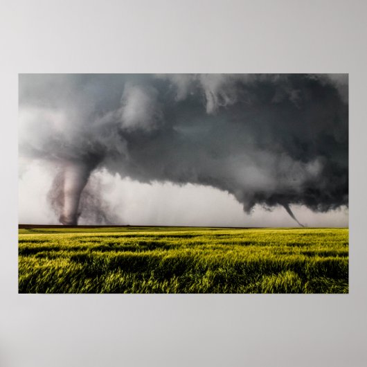 Poster Twins (Devant)