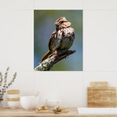 Poster Twisted (Cuisine)