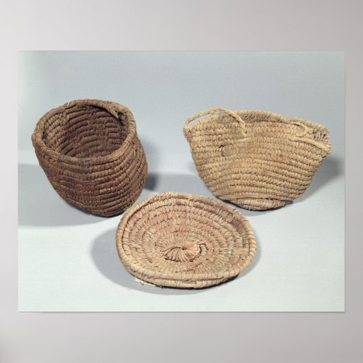 Poster Two baskets and a cover (Devant)