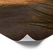 Poster Two Chairs on a Beach (Coin)