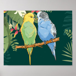 Poster Two cute bleu et green Budgies