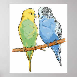 Poster Two cute bleu et green Budgies