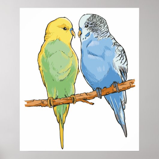 Poster Two cute bleu et green Budgies (Devant)
