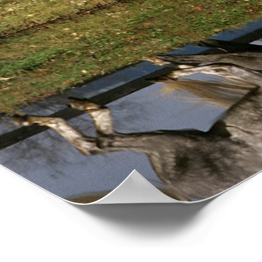 Poster Two Dapple Grey Percheron Horses Running (Coin)