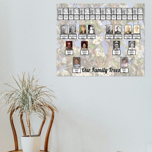 Poster Two Family Trees on White Blossoms Photo    