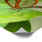 Poster Two Glass winged butterflies (Coin)
