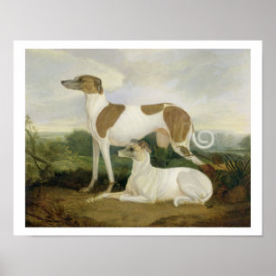 Poster Two Greyhounds in a Landscape