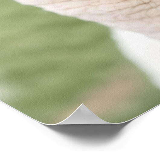 Poster Two Llamas (Coin)