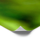 Poster Two maple leaves (Coin)