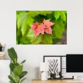 Poster Two maple leaves (Bureau à domicile)