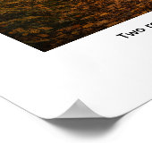 Poster Two roads diverged in a wood,  (Coin)