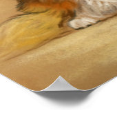 Poster "Two Shetland Sheepdogs" Chien Art Imprimer (Coin)