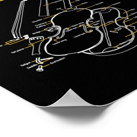 Poster Twoset Violin Violin Anatomy Drawing Diagram Limit (Coin)