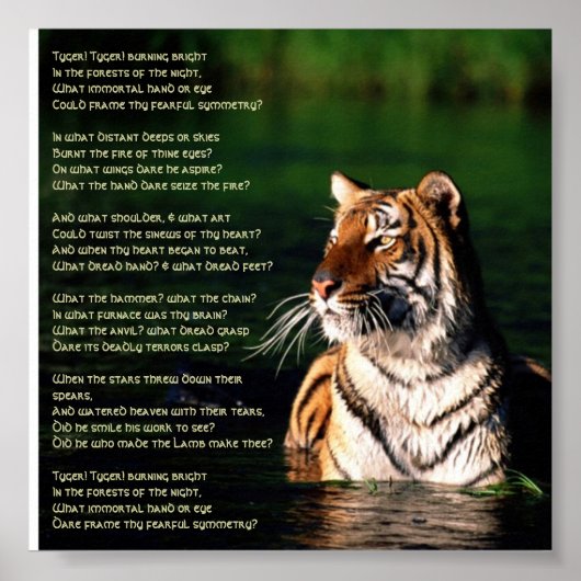 Poster Tyger, Tyger Print (Devant)