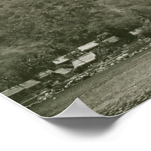 Poster Tyler Buchanan Cabo (Coin)