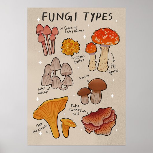Poster Types de champignons types de champignons (Devant)