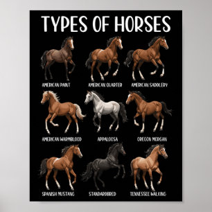 Poster Types De Chevaux Chemise Drôle Cheval Élevage Chev