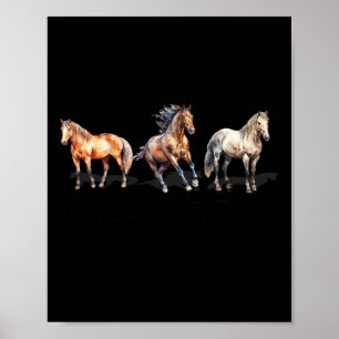 Poster Types De Chevaux Cheval Élevage Équitation Équitat