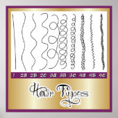 Poster Types de cheveux1 (Devant)