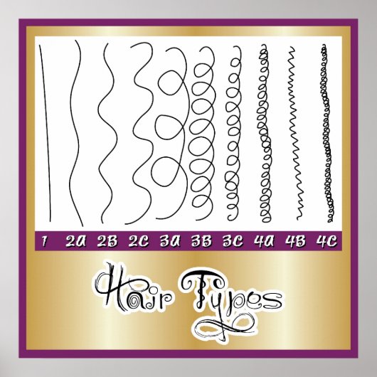 Poster Types de cheveux1 (Devant)