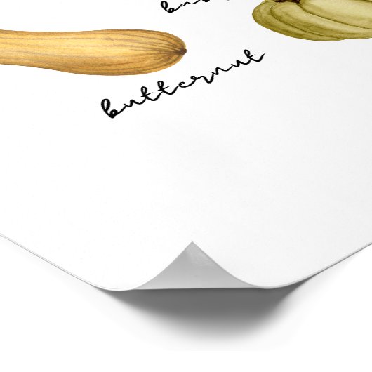 Poster types de citrouilles (Coin)