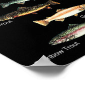 Poster Types de collection d'espèces de truites pêche (Coin)
