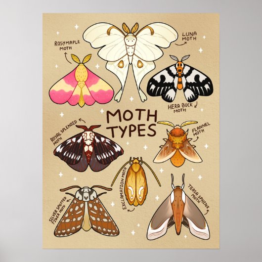 Poster Types de mois (Devant)