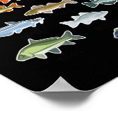 Poster Types De Pêche Au Poisson D'Eau Douce (Coin)