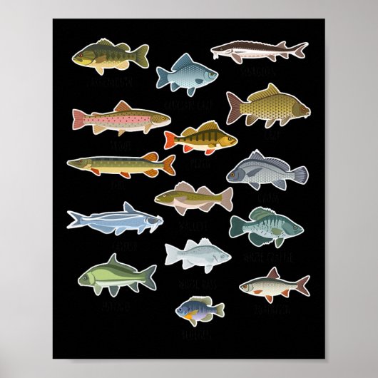 Poster Types De Pêche Au Poisson D'Eau Douce (Devant)