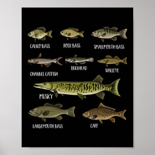 Poster Types De Poissons D'Eau Douce Espèces Pêche