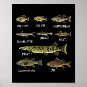 Poster Types de poissons d'eau douce Trier les espèces de