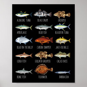 Poster Types de poissons d'eau salée Biologie Pêche Lo