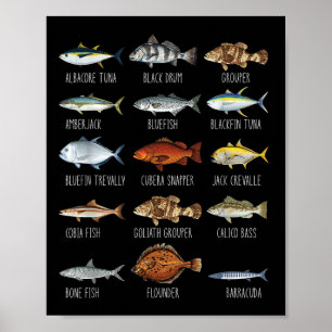 Poster Types de poissons d'eau salée Espèces Biologie Pêc