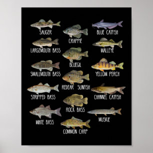 Poster Types d'espèces de poissons d'eau douce Biologie P