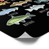 Poster Types d'espèces de poissons d'eau douce Pêche (Coin)
