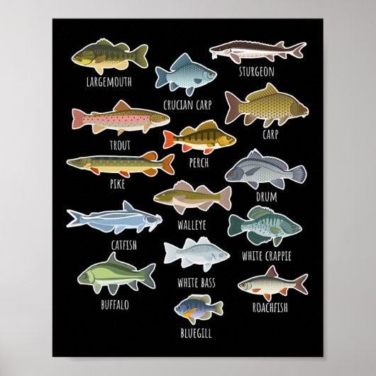Poster Types d'espèces de poissons d'eau douce Pêche (Devant)