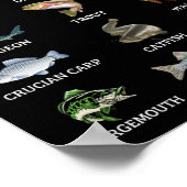 Poster Types D'Espèces De Poissons D'Eau Douce Pêcheur (Coin)