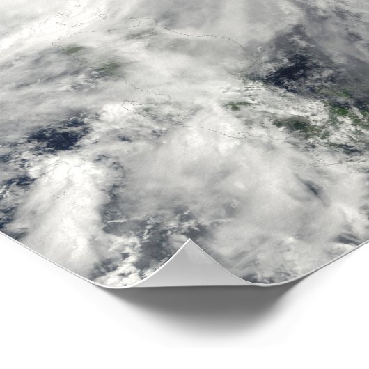 Poster Typhon Jangmi (Coin)