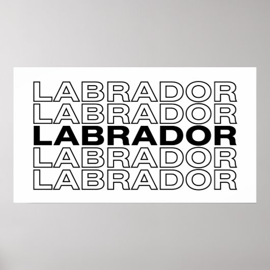 Poster Typographie Graphique Moderne et Audacieuse du Lab (Devant)