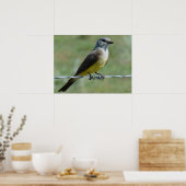 Poster Tyran à bec épais de l'Ouest (Cuisine)