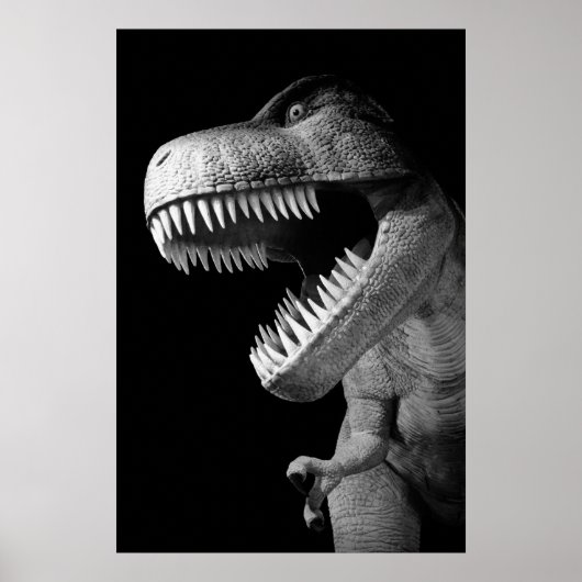 Poster Tyrannosaurus Rex (Devant)