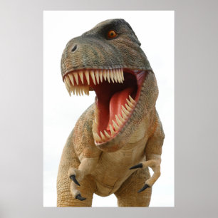 Poster Tyrannosaurus Rex