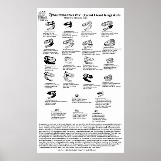 Poster Tyrannosaurus rex (Devant)