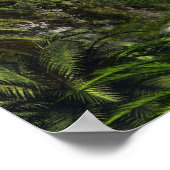 Poster tyrannosaurus-rex-284554 tyrannosaurus rex dinosau (Coin)