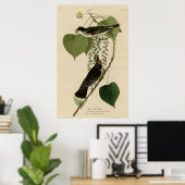 Poster Tyrant Fly-catcher (Bureau à domicile)