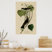 Poster Tyrant Fly-catcher (Cuisine)