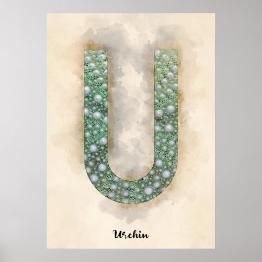 Poster U est pour Urchin (Devant)